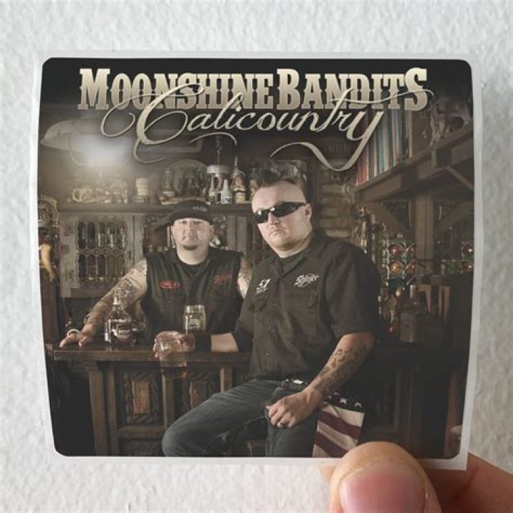 Hire Moonshine Bandits for a Corporate Event or Performance Booking.